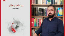 پرداختن به ۲۰ تکنیک هایکوسرایی در یک کتاب | انتشار متنهایی که هایکو نیستند