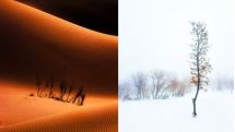Iranian photographers honored at Global Photographic Union contest