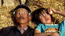 Tehran to host review of Chinese films