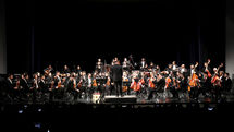 Performance of